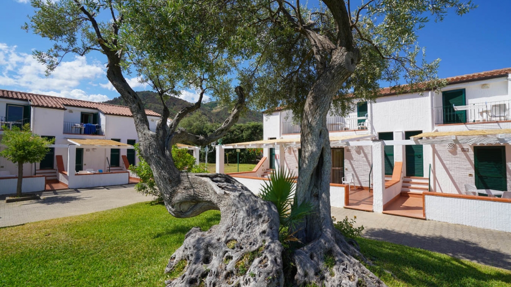 Camera Resort